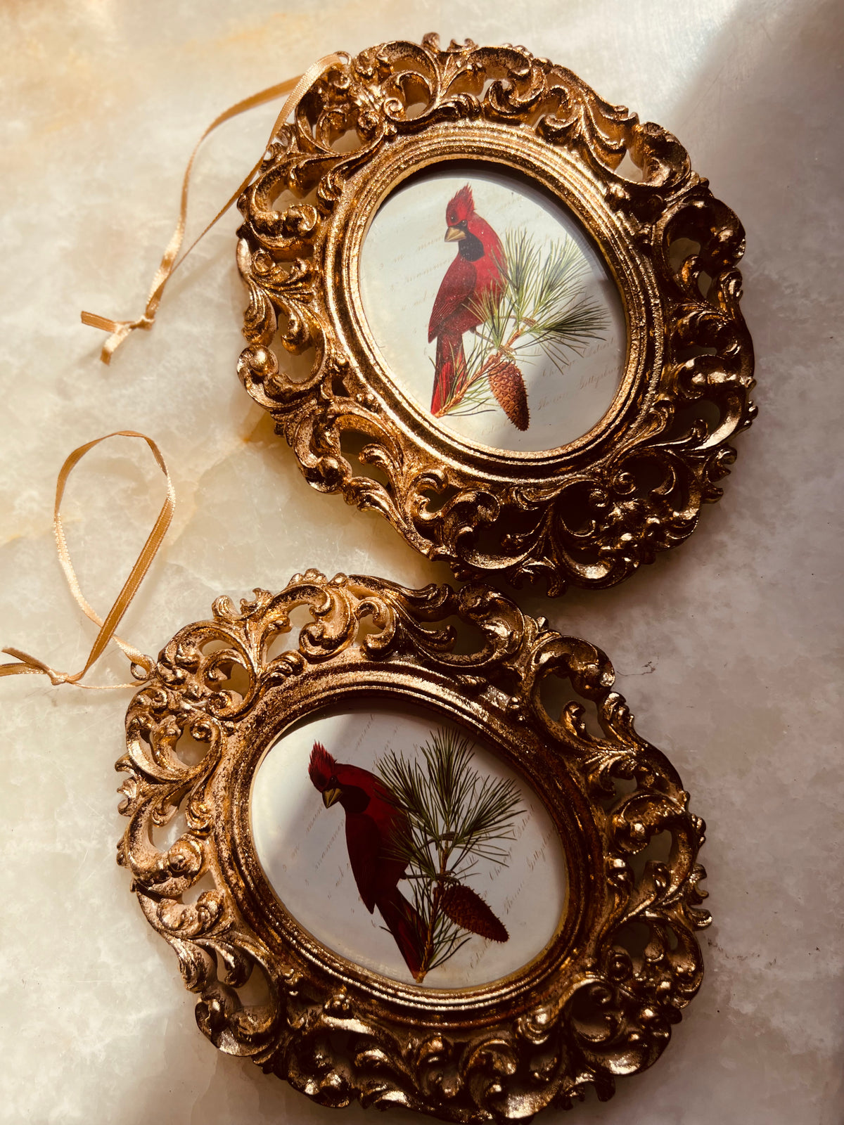 CARDINAL FRAME– Arte Corazon